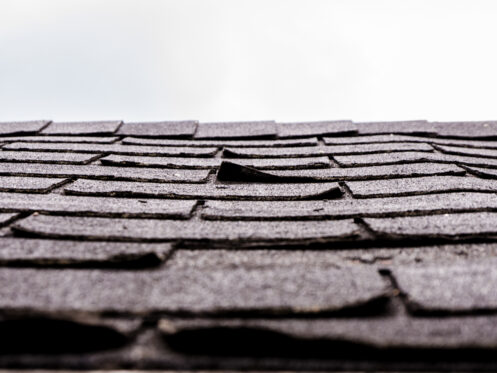 Damaged roof shingles on a roof in Spokane, WA